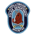 Police Patch