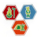 Scout Patches