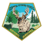 Scout Patch