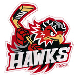 Sport Patches